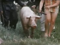 Pretty chicks involve animals in their sexual lives 